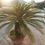 By Interhome * Capoliveri (Isola d'Elba)