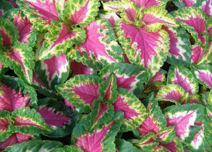 Mit Wasserblick By Interhome Apartment