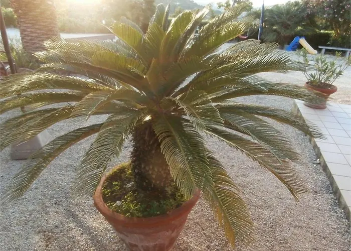 Mit Wasserblick By Interhome * Capoliveri (Isola d'Elba)