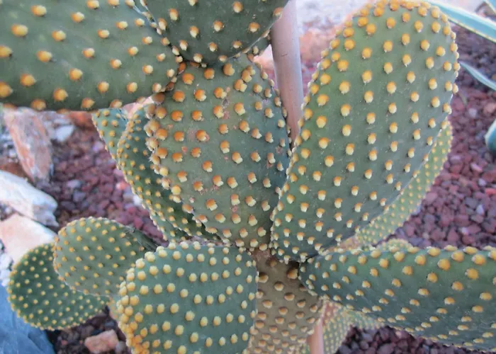 Mit Wasserblick By Interhome