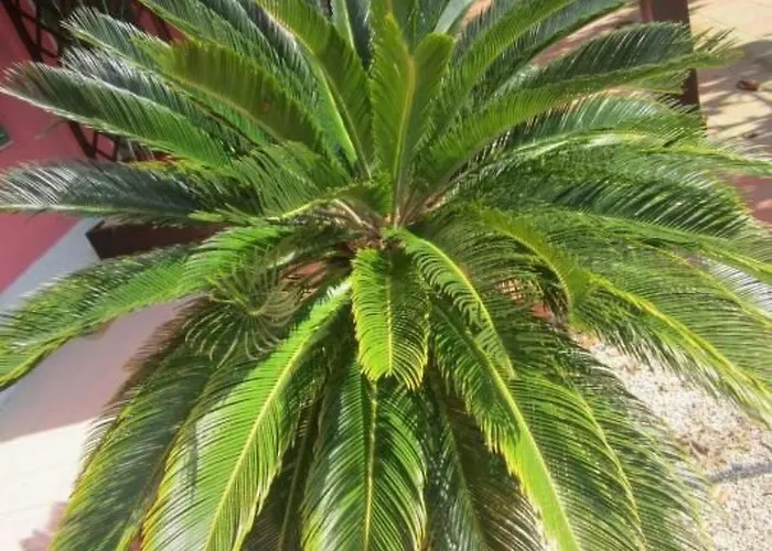 Mit Wasserblick By Interhome Apartamento