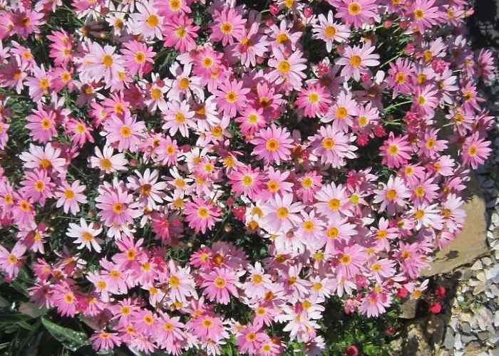 Apartamento Mit Wasserblick By Interhome