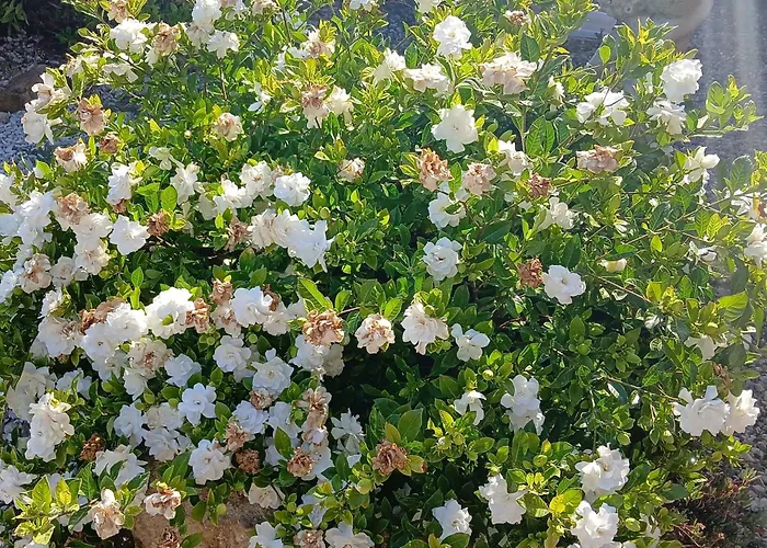 Mit Wasserblick By Interhome