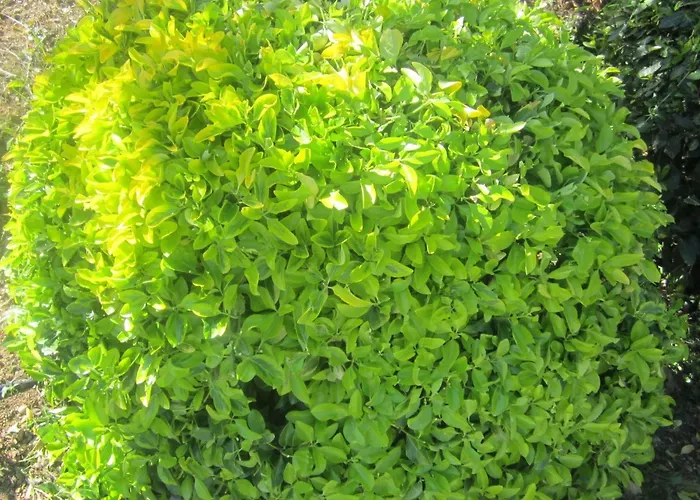 Mit Wasserblick By Interhome Апартаменты *